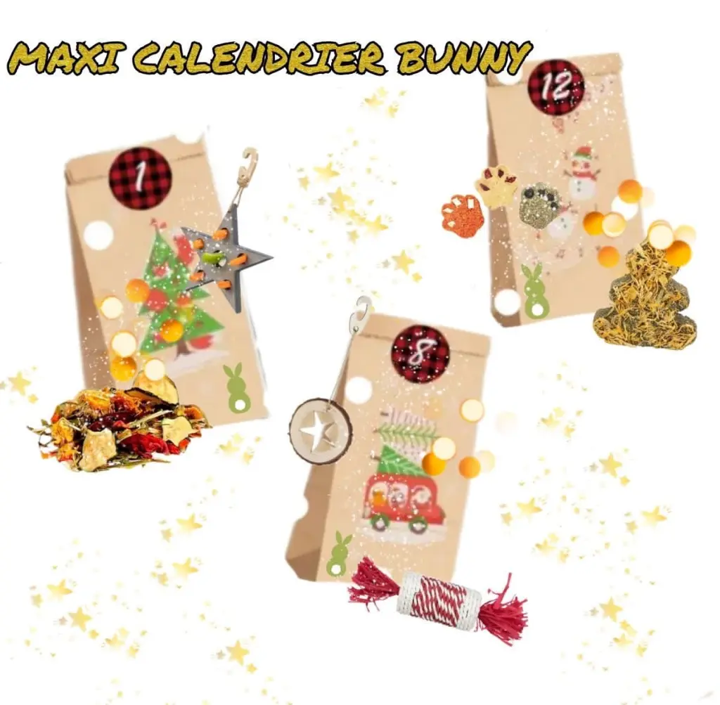calendrier de l'avent lapin.webp