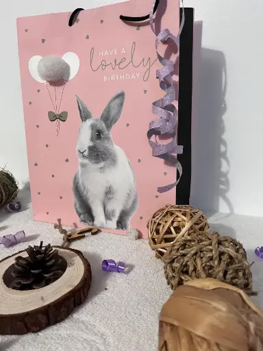 Pochette Cadeau Surprise Anniversaire